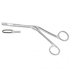 Knight Septum Forcep Stainless Steel, 17 cm - 6 3/4"